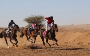 "منبع الخالدية" و "خيرية" من مربط المشناء للخيول يخطفان أولى المراكز في شوط الإنتاج بسباق السليمي للخيول