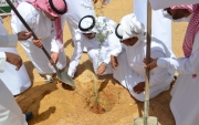 بالتعاون مع بلدية جبة زراعة حائل والتنمية السياحية بجبة تزرعان 2000 شتلة من الطلح والغاف المحلي بجبة